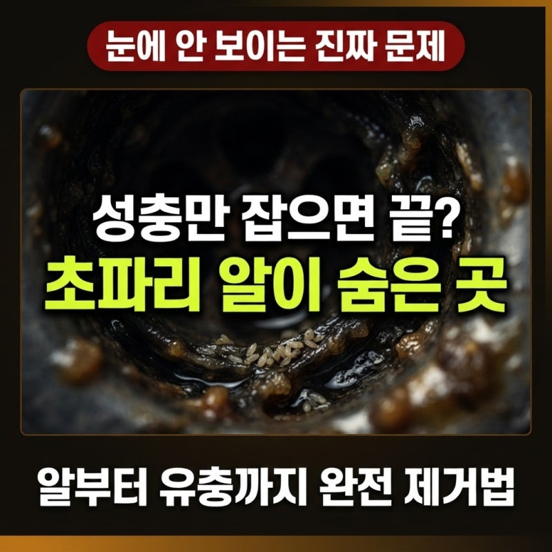 "눈에 안 보이는데 있었다고?" 초파리 알이 숨어있는 의외의 장소