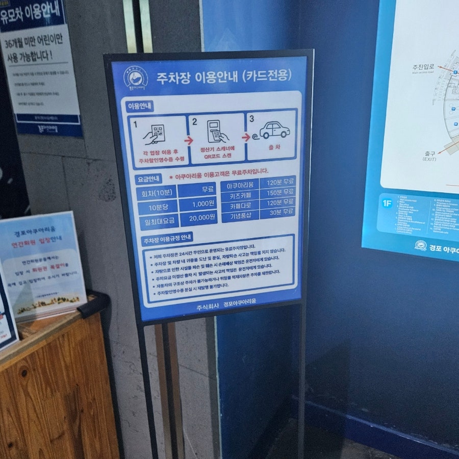 경포아쿠아리움 사진 4