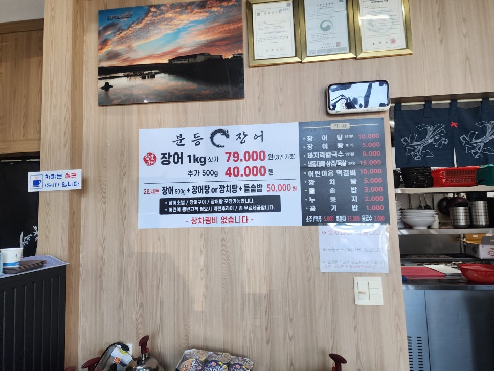 분등장어 사진 3