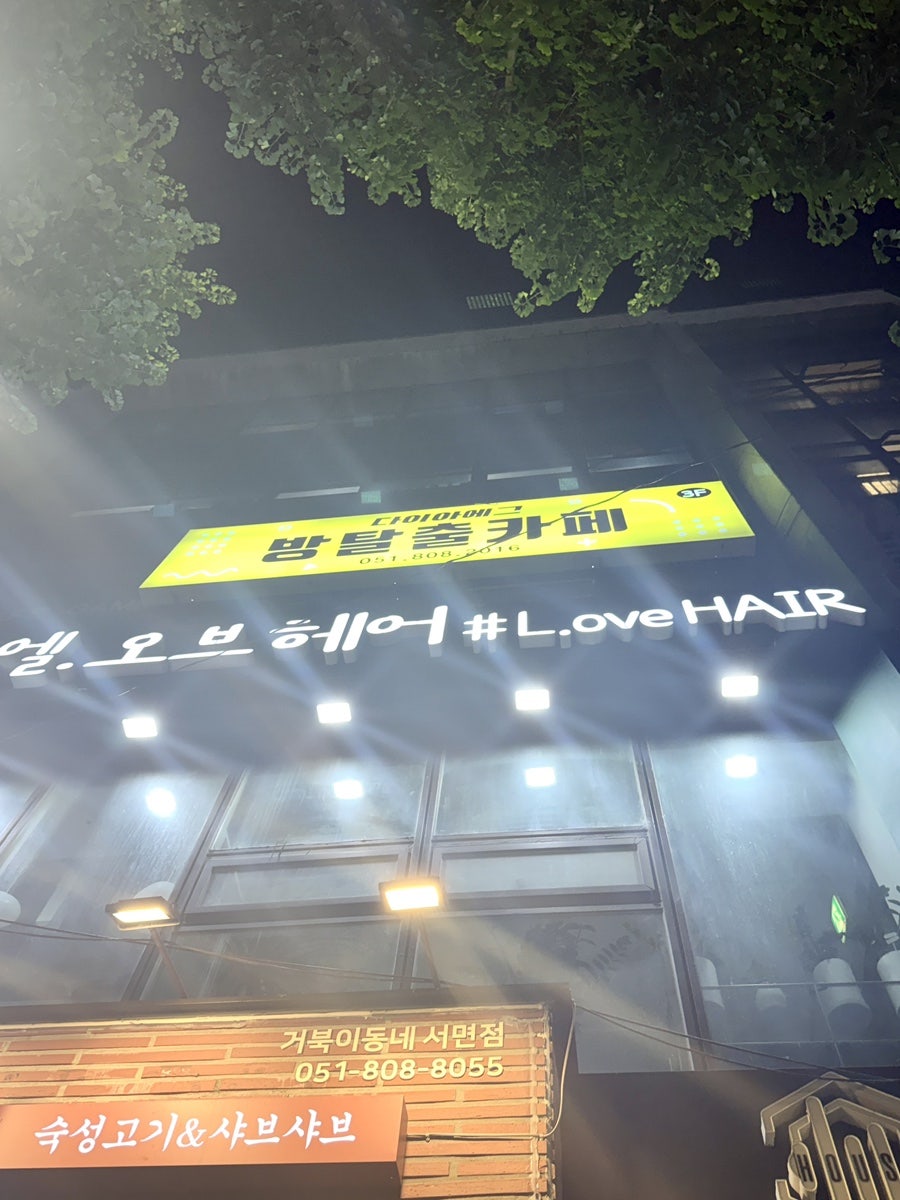 테마 사진 1