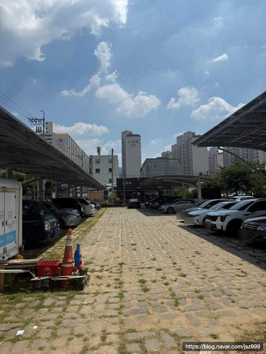 미작 사진 5