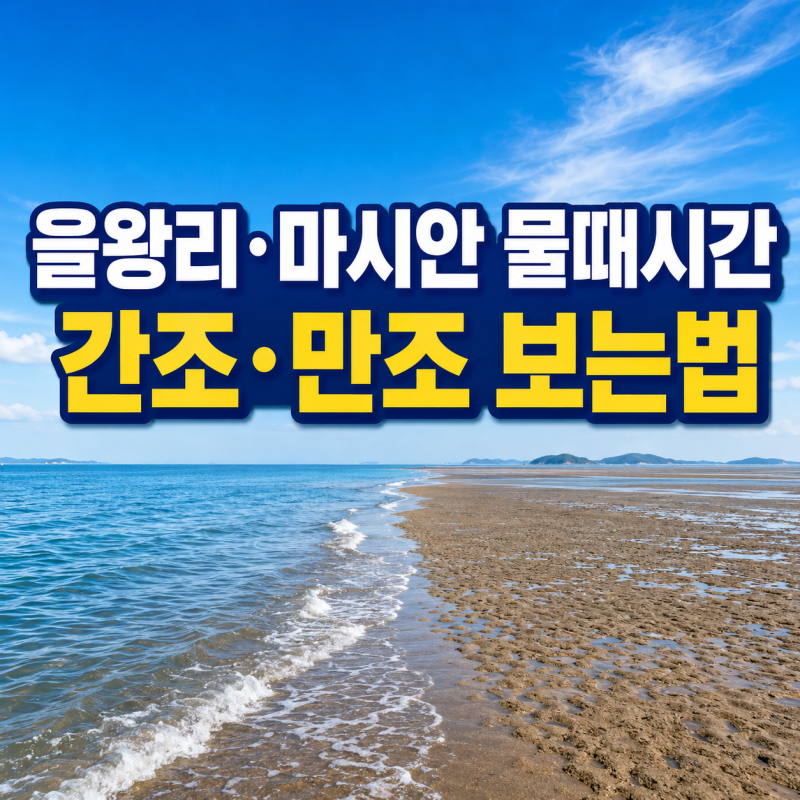 영종도 을왕리 물때표 보는 법, 간조 만조 뜻 갯벌체험 시간