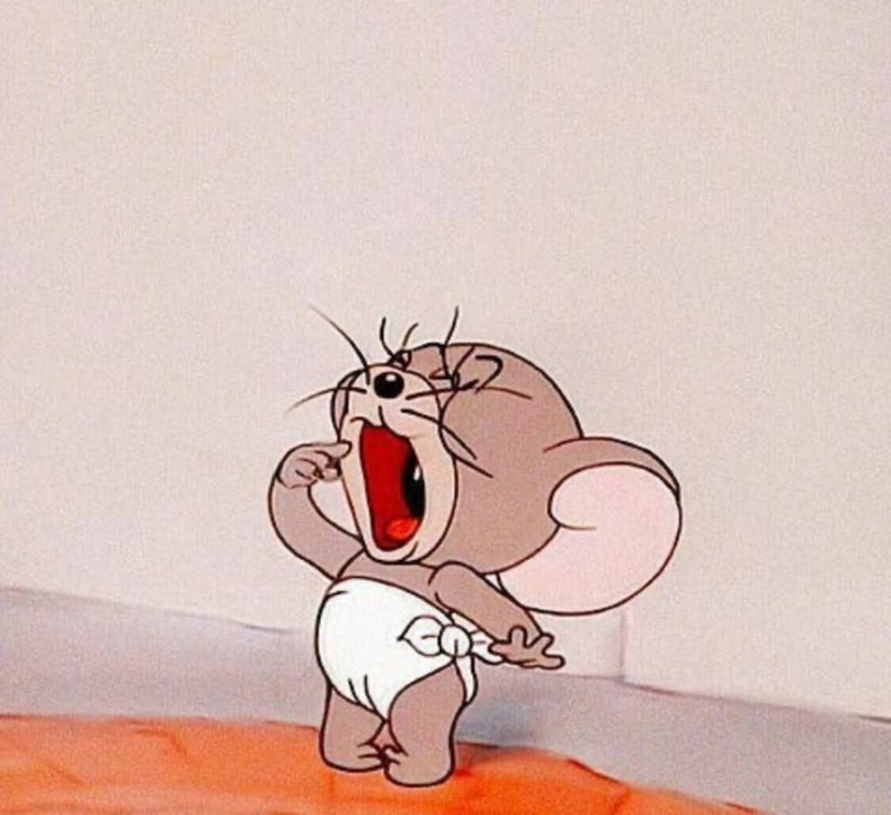 [임신기록.3] 제리 태몽