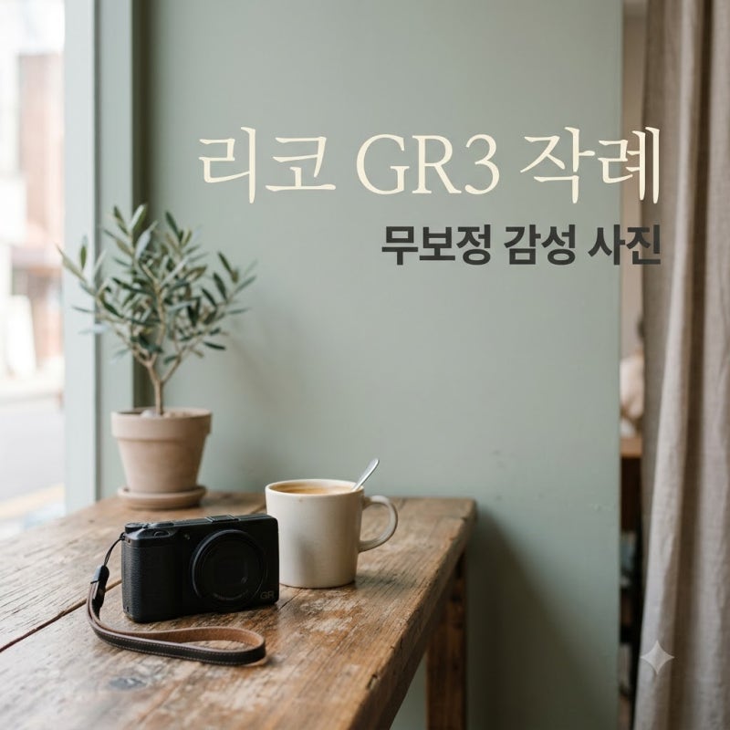"폰카인 줄 알았는데.." 리코 GR3 작례 보고 바로 지갑 열게 된 이유
