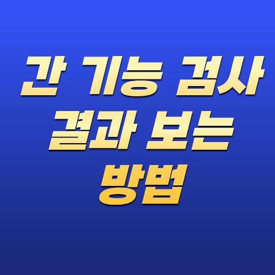 간 기능 검사 결과 보는 방법, 건강검진 수치 쉽게 이해하기