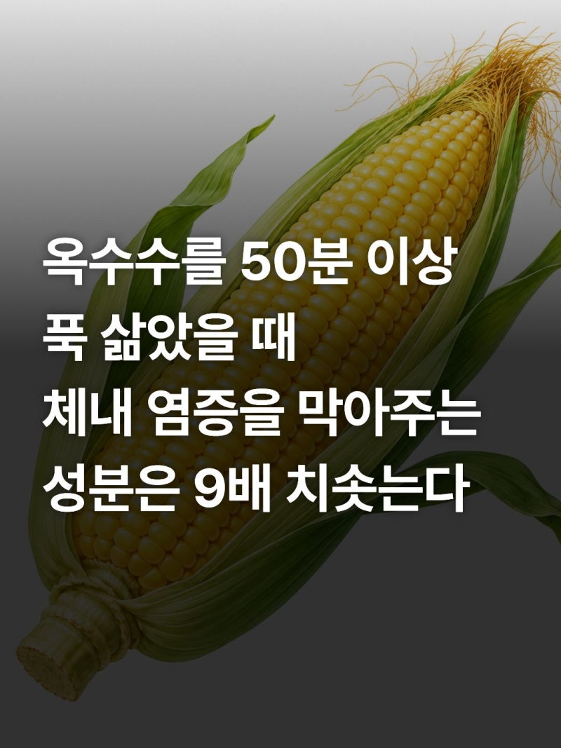 삶은 옥수수 효능 및 영양성분, 초당옥수수 찰옥수수 칼로리 비교와 당뇨 섭취법