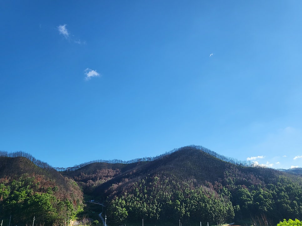 용추협곡 사진 4