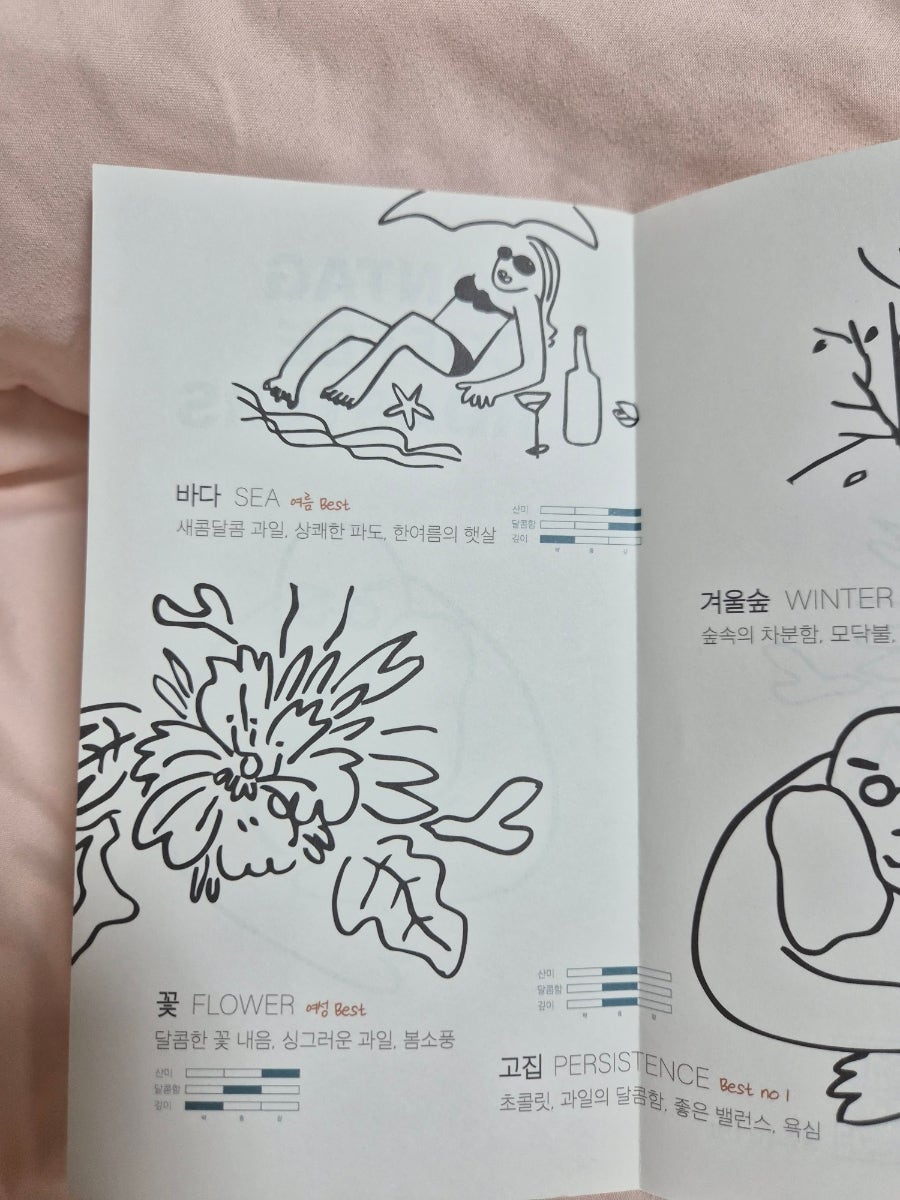 손탁커피 홍천 사진 3