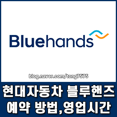 현대자동차 블루핸즈 예약 방법 및 영업시간 점검 서비스 총정리