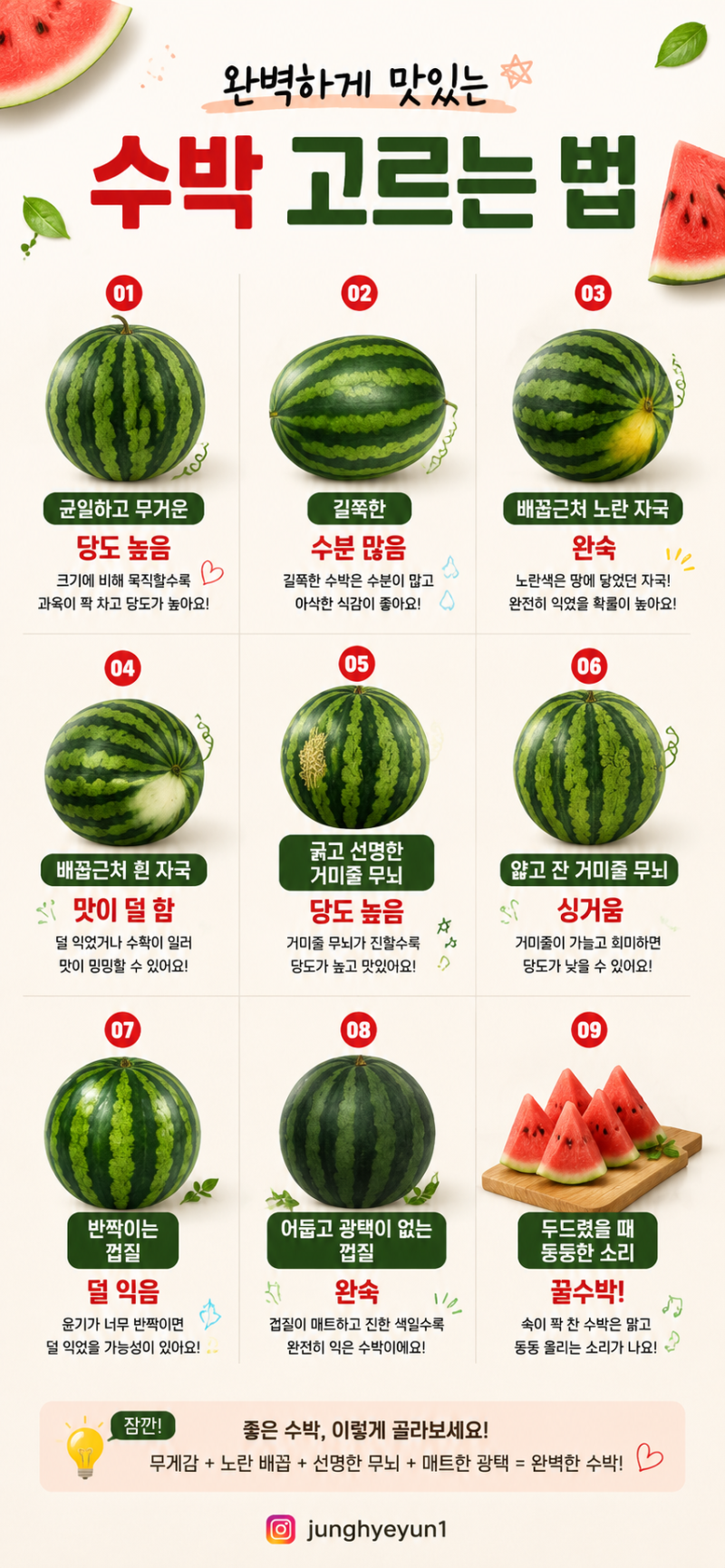 99%가 모르는 달콤한 수박 고르는 꿀팁 맛있는수박고르는법