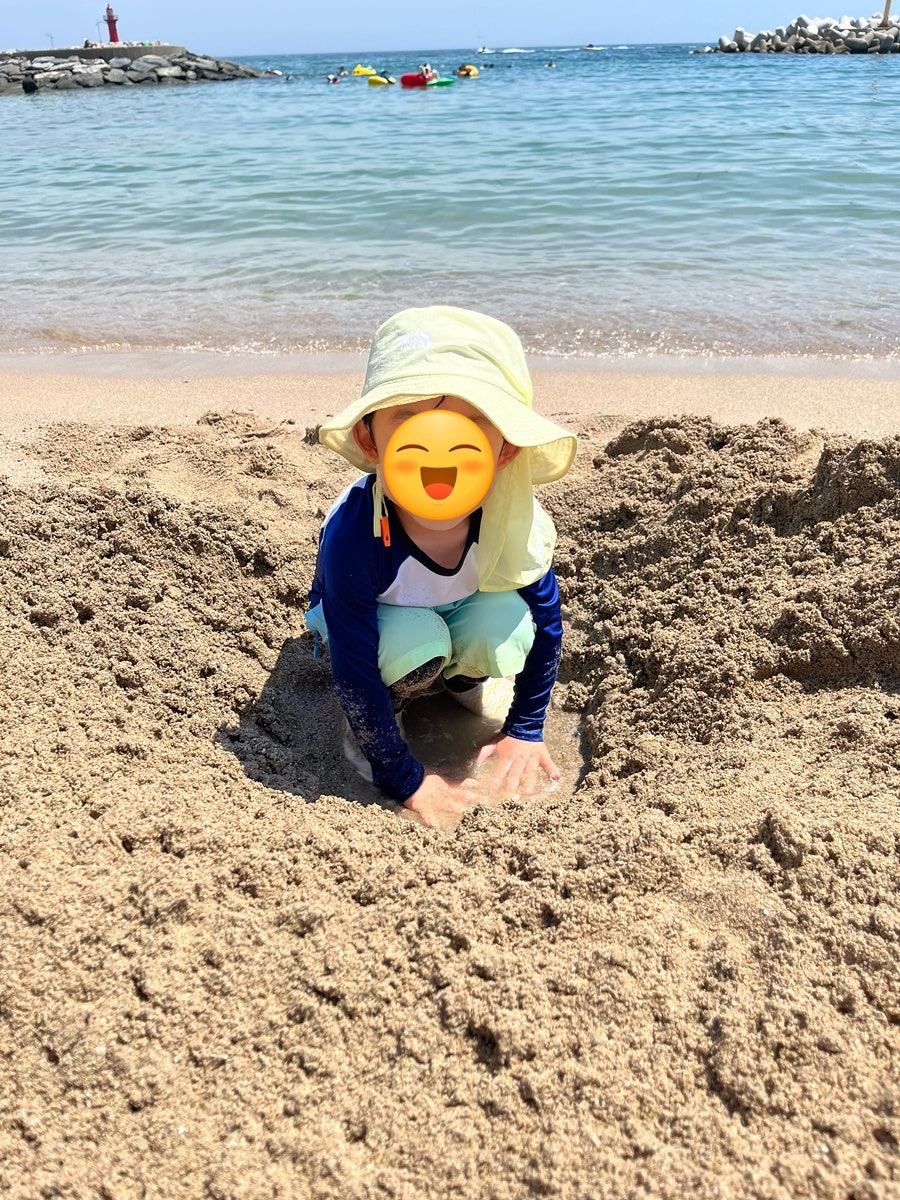 나사리포플라 사진 6