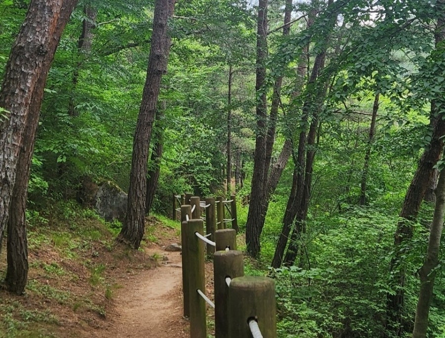병곡산장 사진 4