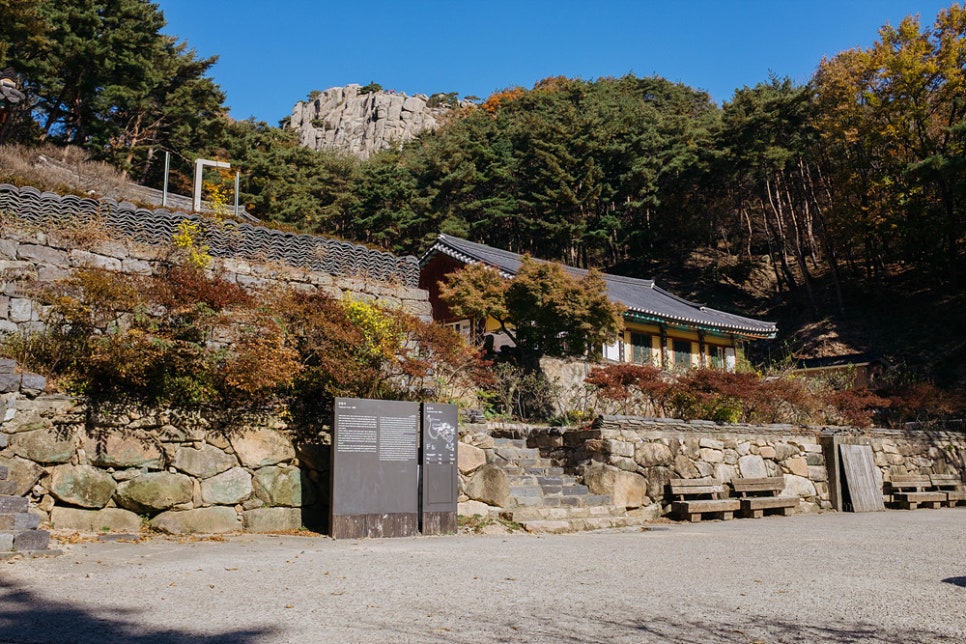 용봉산 사진 6