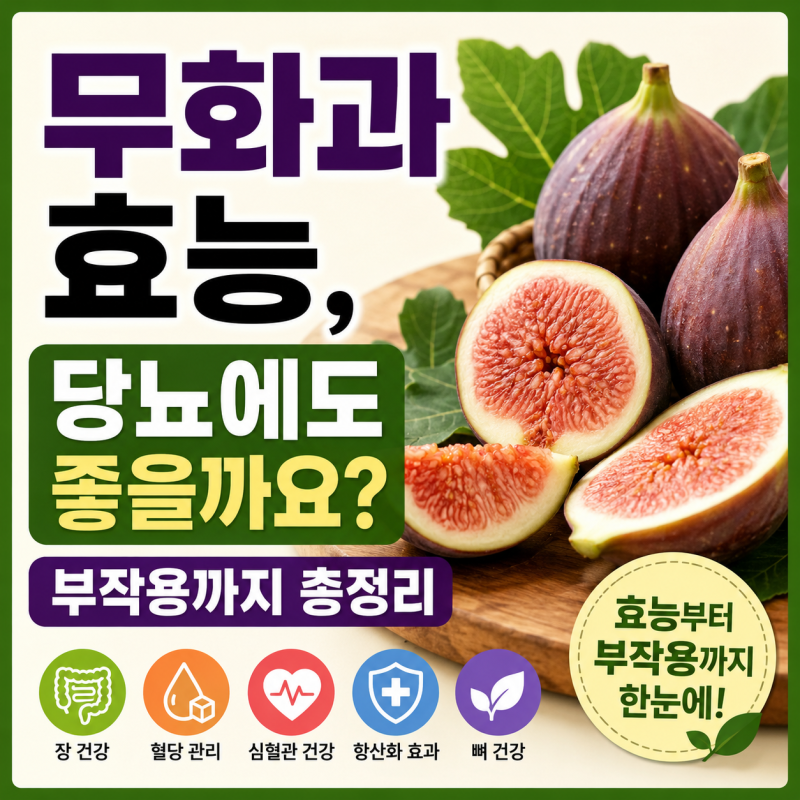 무화과 효능, 당뇨에도 좋을까요? 부작용까지 총정리