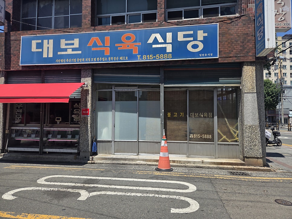 대보 사진 2