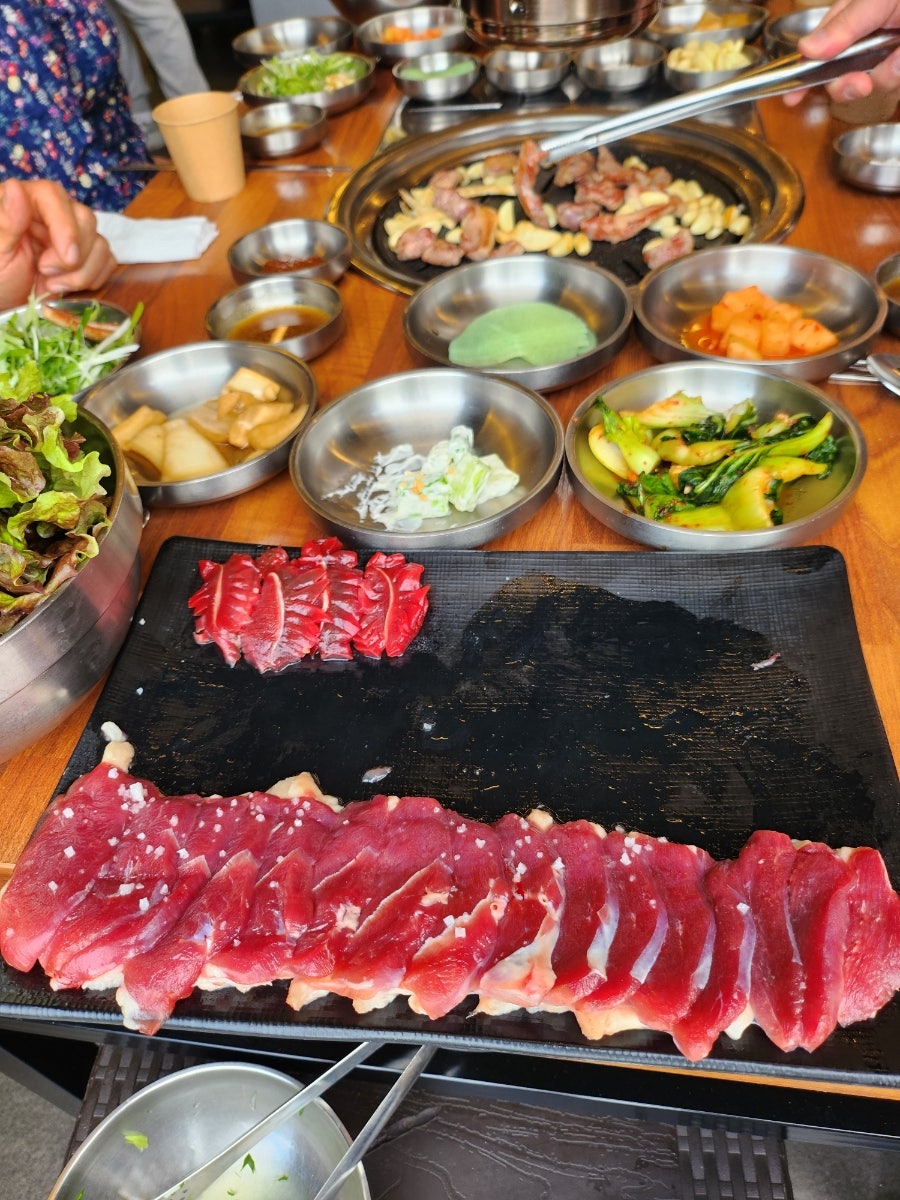 부창오리 사진 1