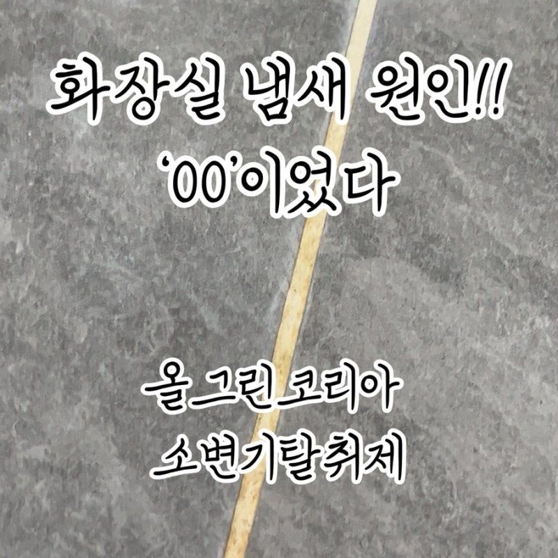 이거 안 쓰면 화장실 냄새 평생 못 잡습니다 (올그린코리아 소변기탈취제 요석제거제)