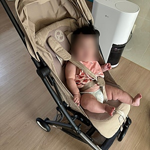 싸이벡스 Cybex 리베르 국내정발 휴대용 유모차 구매 리뷰