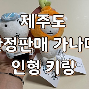 제주공항 기념품 추천 가다니 키링 인형 후기. 한라봉 가나디와 해녀 가나디 구매.