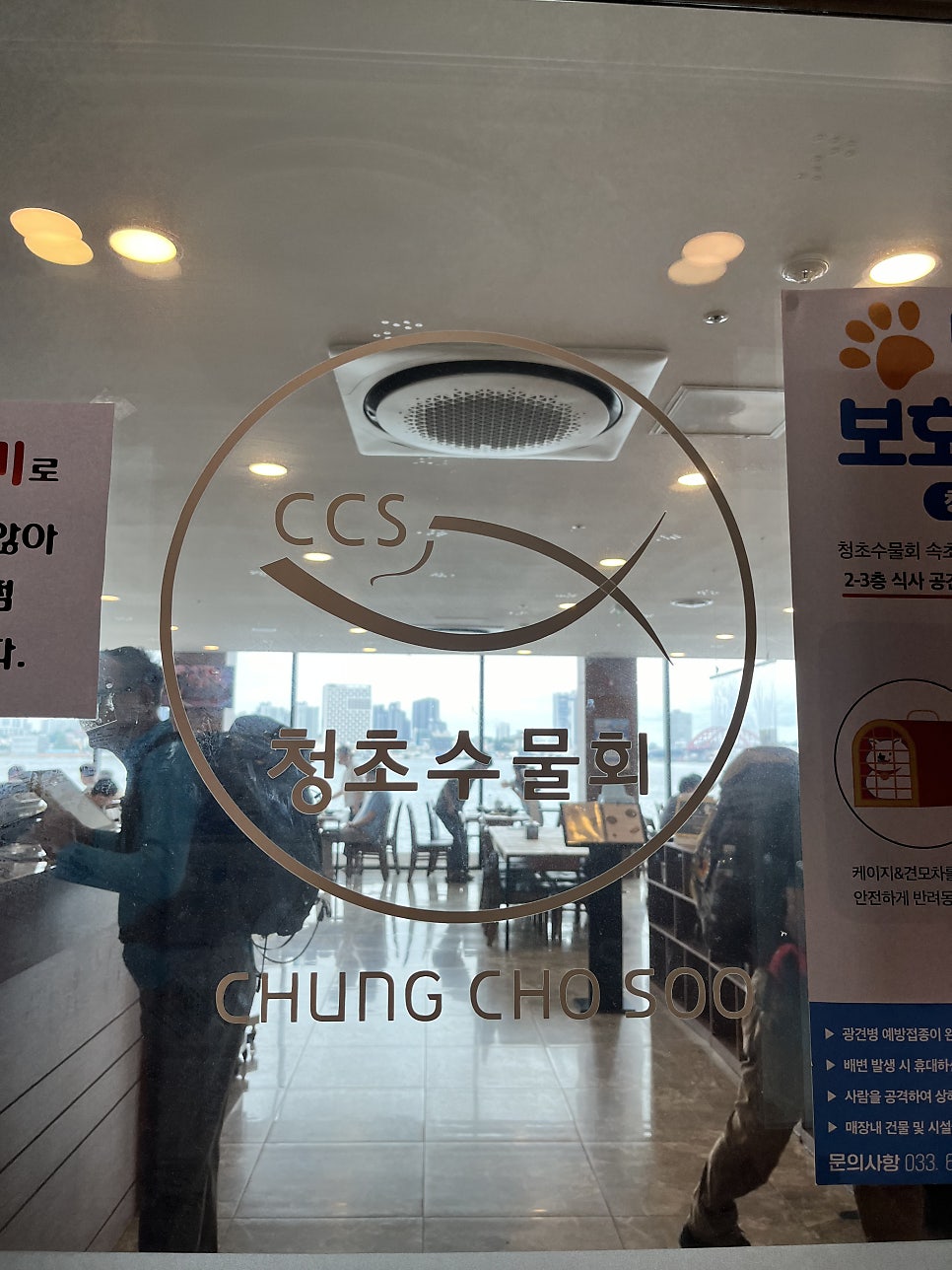 청초수물회 속초본점 사진 3