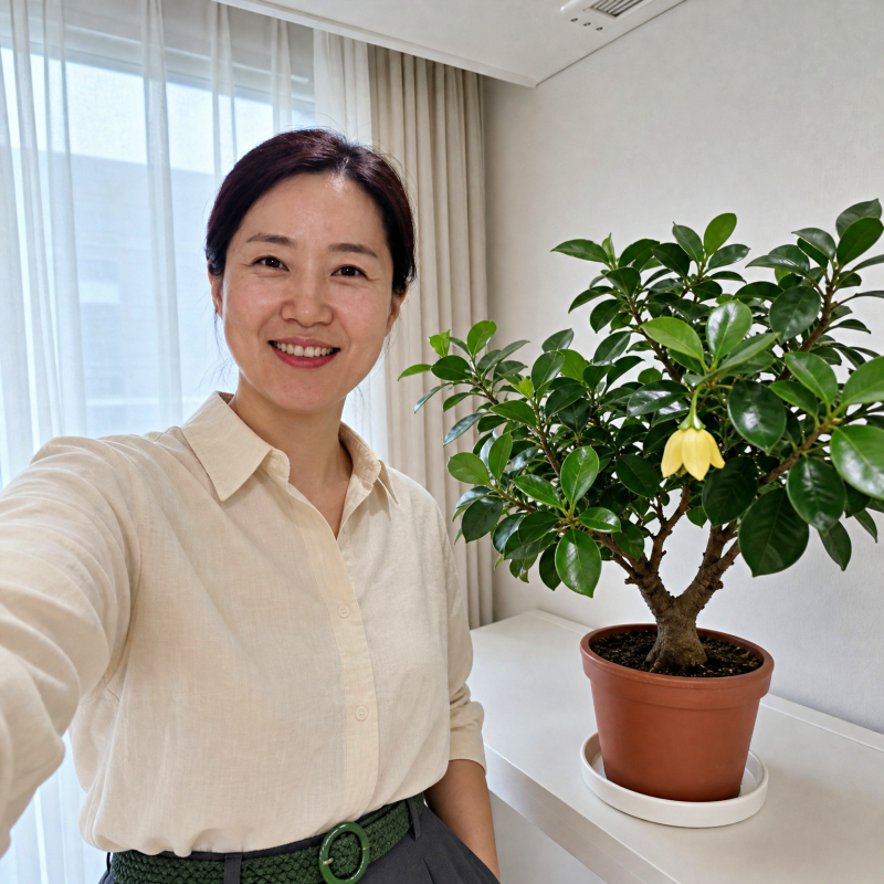 "이거 하나로 물주기 실패 사라졌어요" 녹보수 키우기 방법 잎마름 방지하는 물주기와 3가지 ....