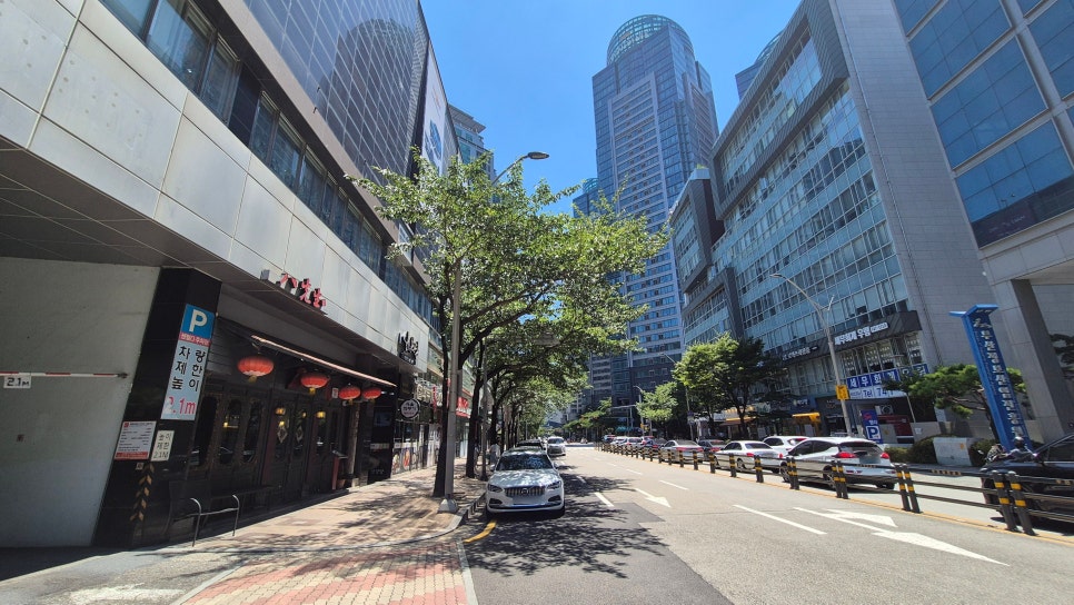 팔선생 사진 3