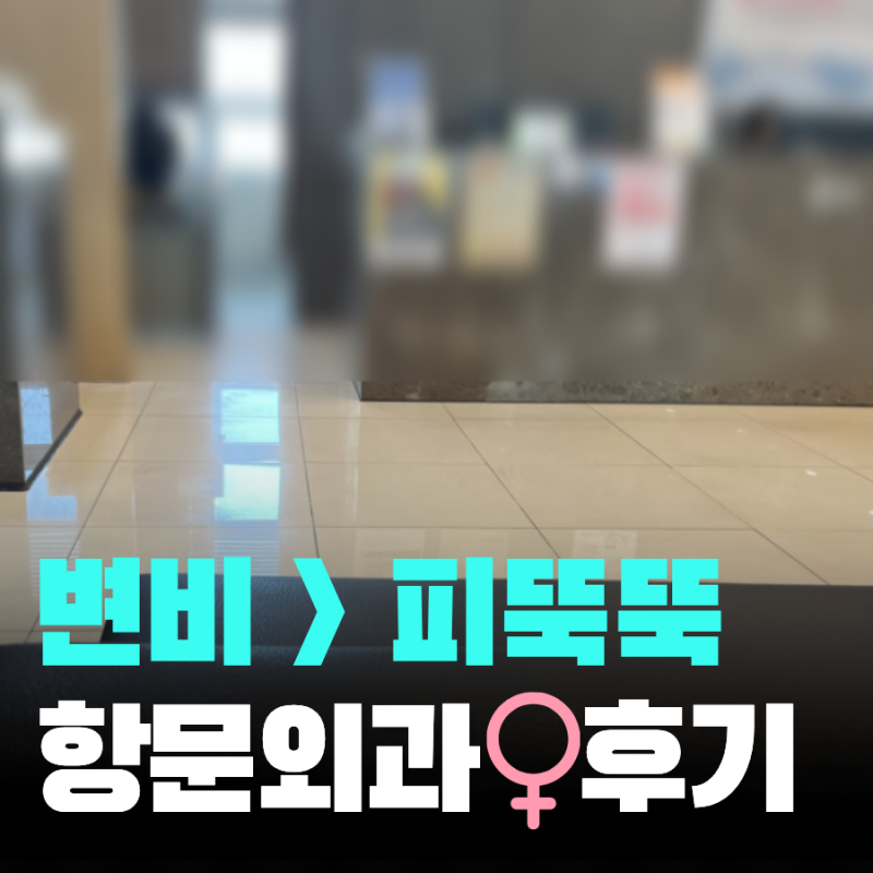 변비 피 뚝뚝 원인 항문외과 후기