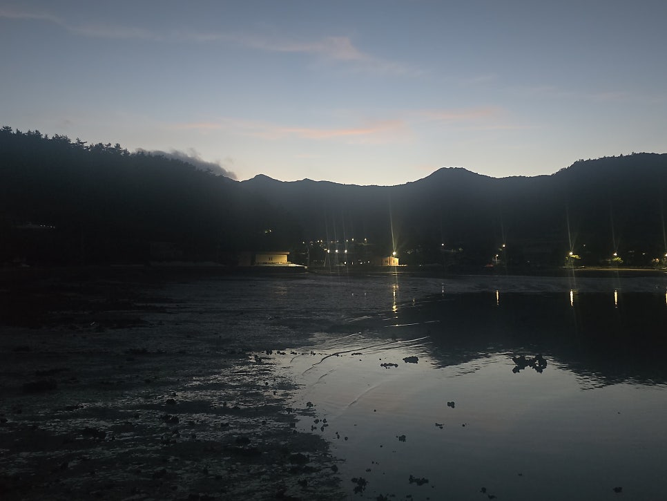콩밭에 사진 5