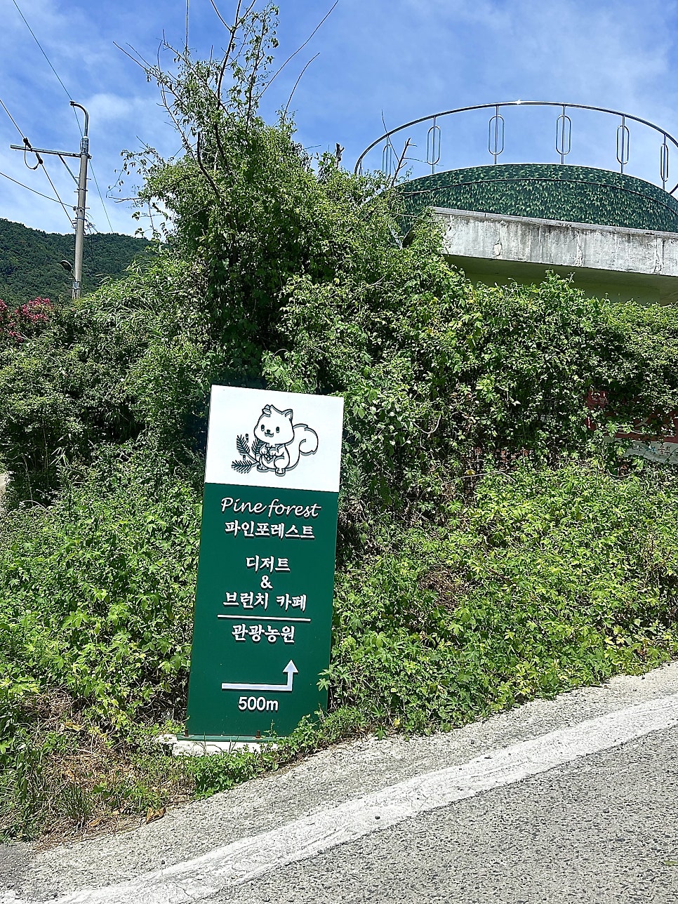 파인포레스트 사진 1