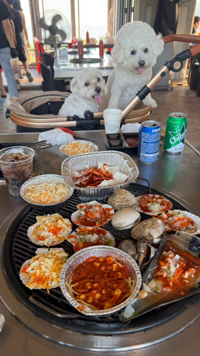 영종도 을왕리 조개구이 별빛조개포차 애견동반 가능한 무한리필 후기