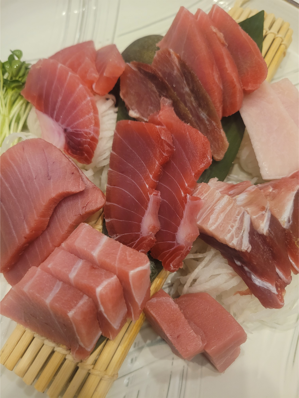 정참치 사진 3