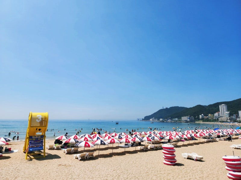 부산 송정해수욕장 총정리 (가격,샤워시설,주차 정보 아이와 여름휴가)