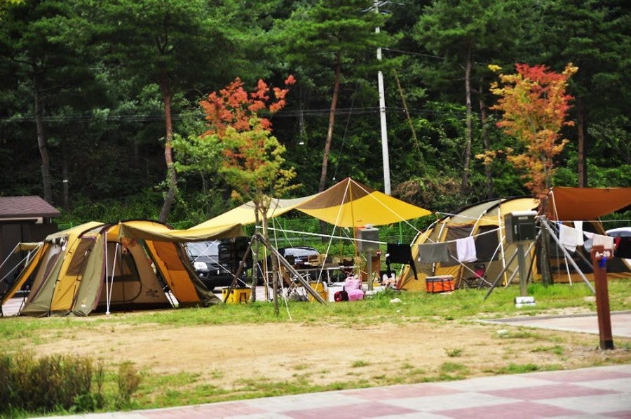 병지방오토캠핑장 사진 3