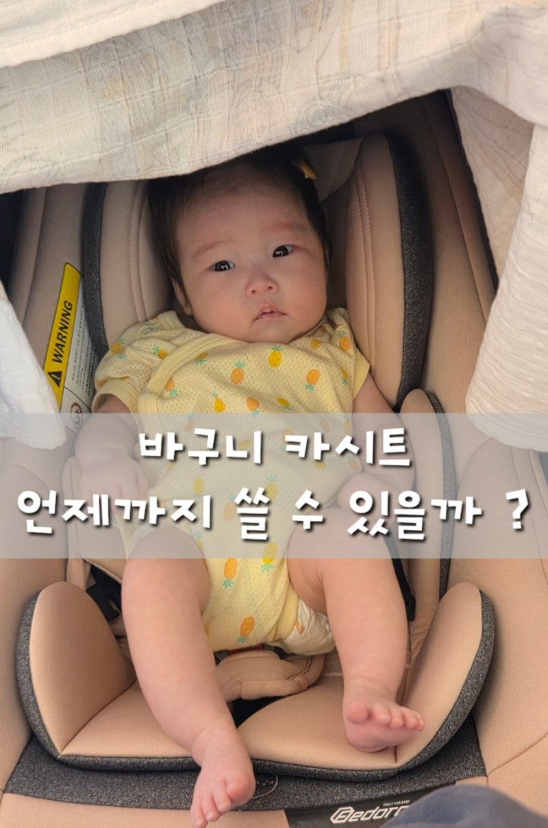 바구니 카시트 언제까지 사용 가능 ? | 리프리베 대여