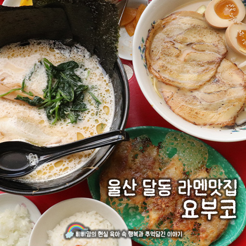 요부코 사진 2