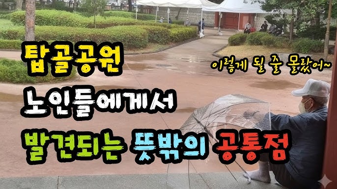 탑골공원 노인들에게서 발견되는 뜻밖의 공통점