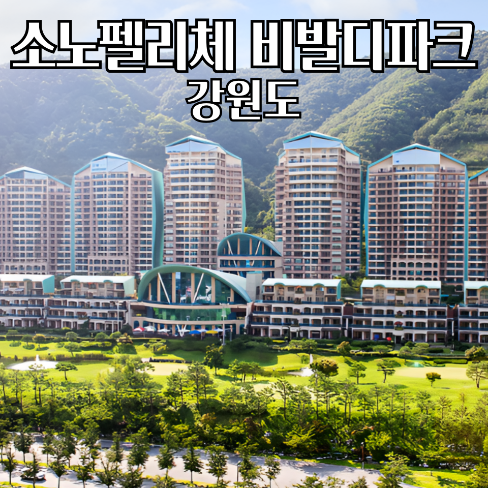 소노펠리체 비발디파크 더엠브로시아 사진 1