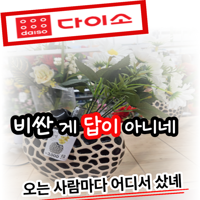 3천 원으로 집 분위기 바꾸는 다이소 인테리어 추천… 손님 오면 가장 먼저 묻는 '이것'