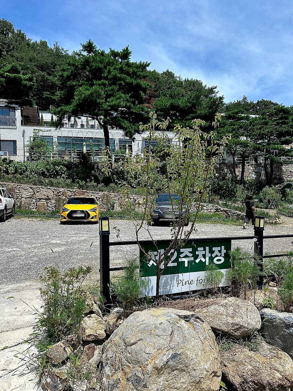 파인포레스트 사진 3
