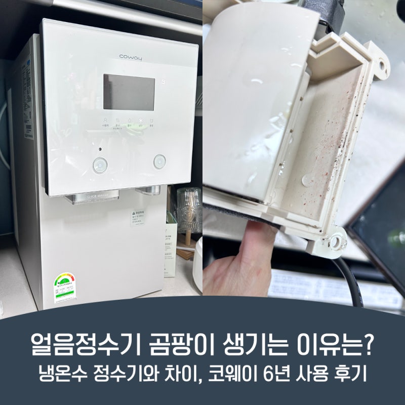 얼음정수기 곰팡이 생기는 이유는? 냉온수 정수기와 차이, 코웨이 6년 사용 후기