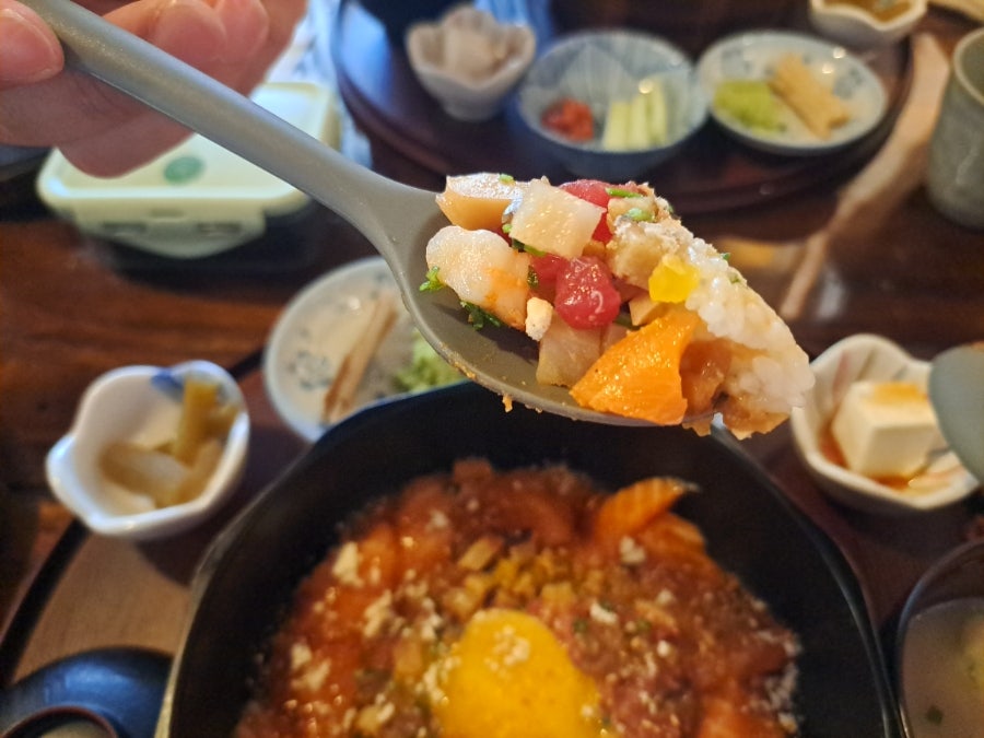 하데나 사진 6