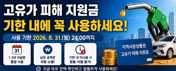 [2026 고유가지원금 기간] 8월 31일 소멸 전 꼭 확인해야 할 잔액 조회 및 사용법
