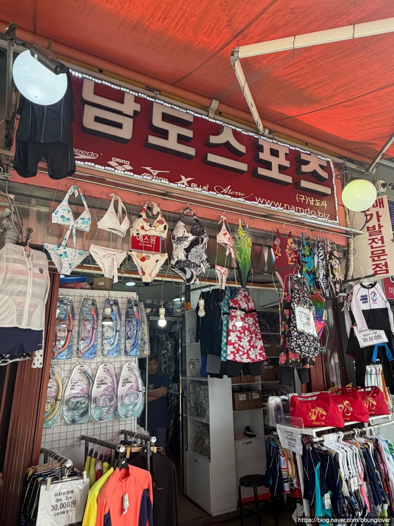 남대문 시장 수영 용품 내돈내산 (남도스포츠, 무지개수영복, DMC 엘리트 맥스, 아레나 스노쿨....