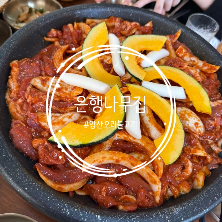 은행나무집 사진 1