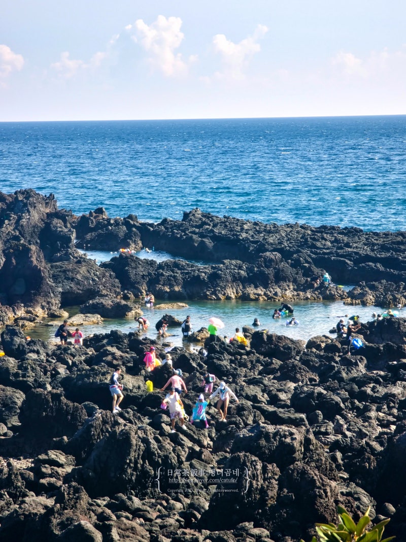 Jeju Dorippal Snorkeling Review: How to Get There, Location, and Why You Might Get Hurt if You Go Unprepared
