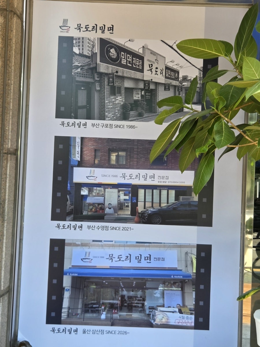 묵도리밀면 사진 3