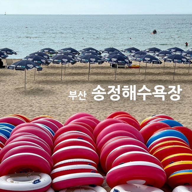 부산 송정해수욕장 여름 물놀이 후기! 위치·주차장·온수 샤워장·파라솔·배달·맛집까지 총....