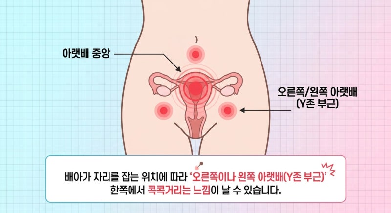 배란 후 아랫배가 계속 콕콕, 착상통은 정확히 어디가 아플까?