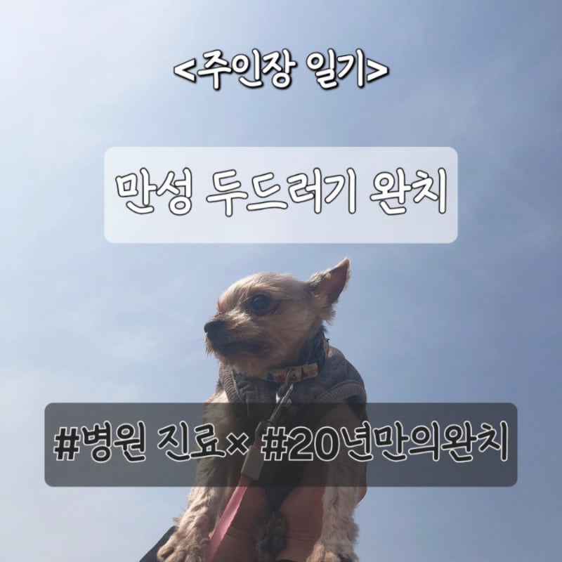 20년만에 만성두드러기 완치 일기 | 치료법 공개 | 두드러기 치료 과정