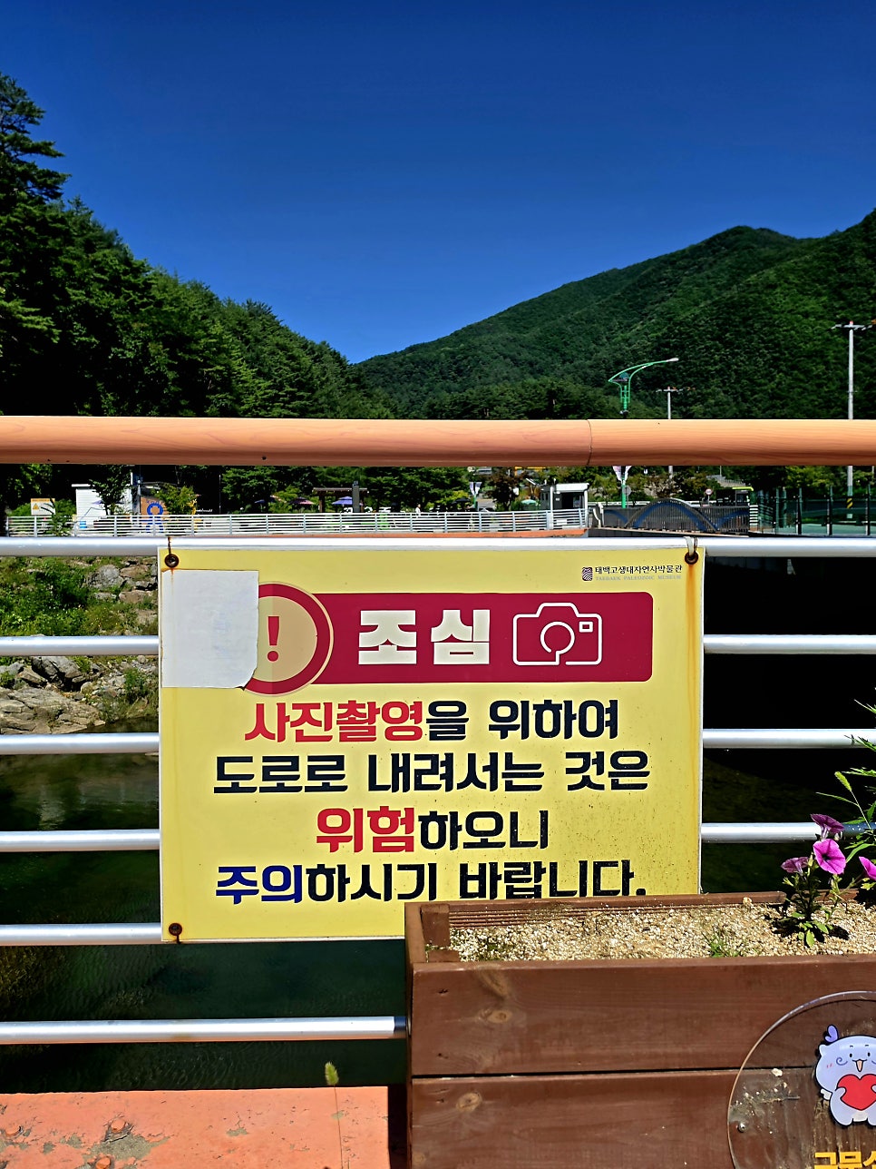 태백경찰서 사진 1